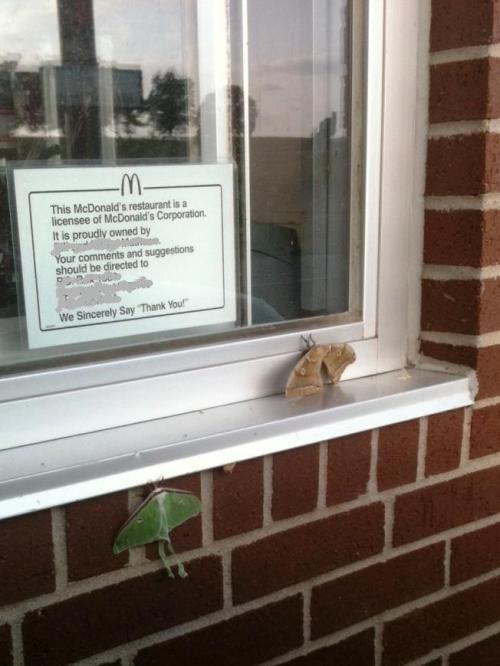 PHOTO PROMPT - © Madison Woods