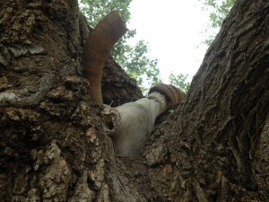 PHOTO PROMPT Copyright-Madison Woods