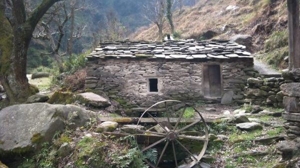 Thanks to Piya Singh for this week's photo prompt.