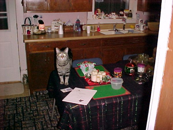 Copyright-Scott L. Vannatter