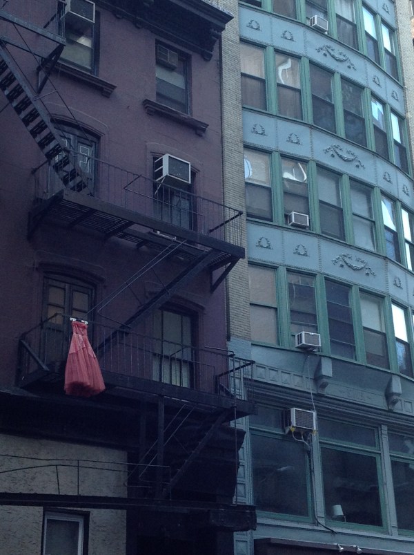 Copyright - Janet Webb