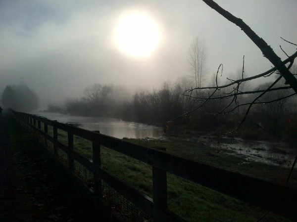 Copyright - Erin Leary