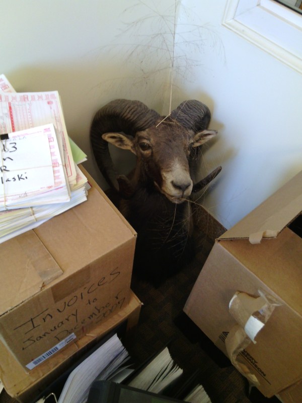 PHOTO PROMPT - Copyright - Adam Ickes