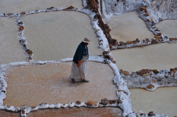 ©Tales_From_the_Motherland