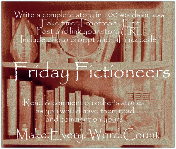 Friday Fictioneers Bookshelf