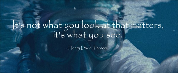 Snorkeling in St. Thomas