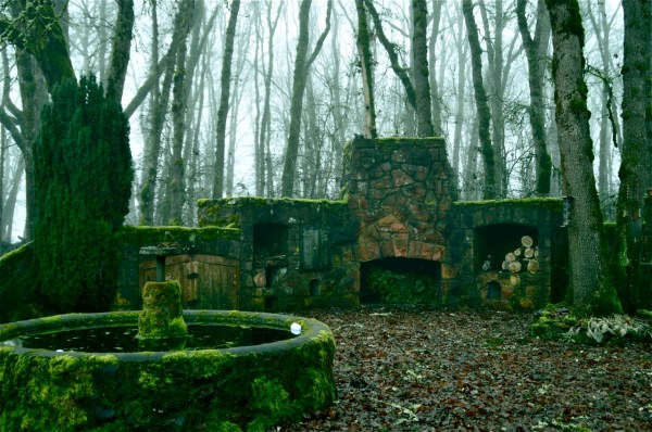 © Copyright - Rachel Bjerke