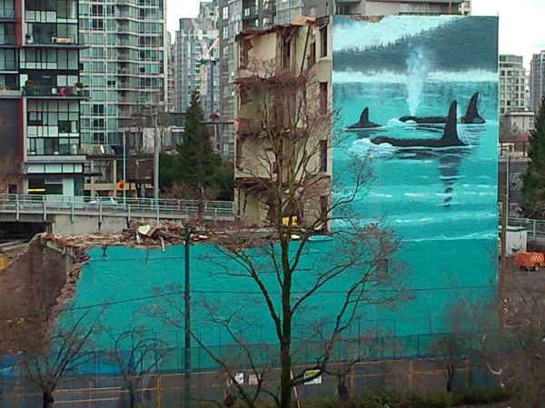 PHOTO PROMPT - © C.E.Ayr