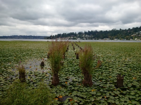 PHOTO PROMPT © Erin Leary