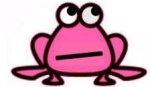 Pink Froggie